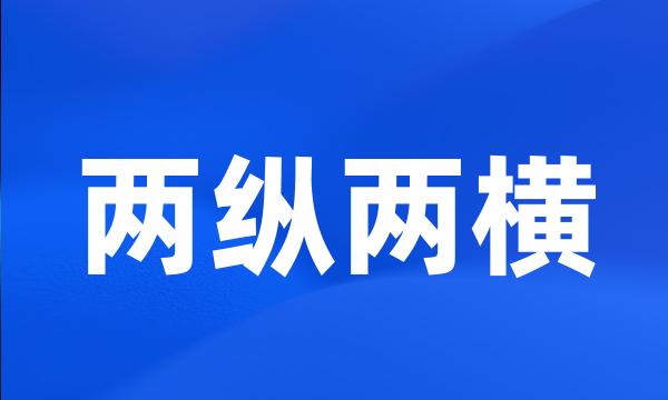 两纵两横