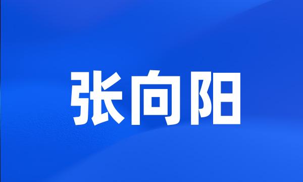 张向阳