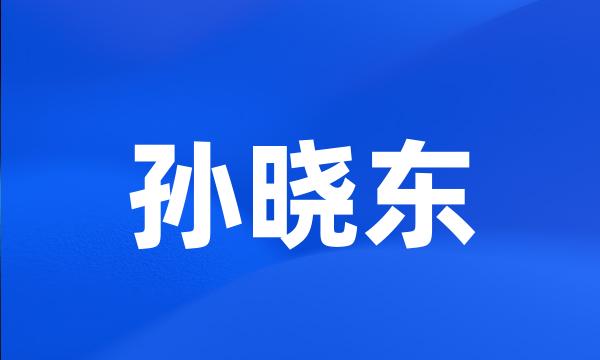 孙晓东