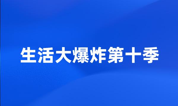 生活大爆炸第十季