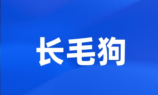 长毛狗