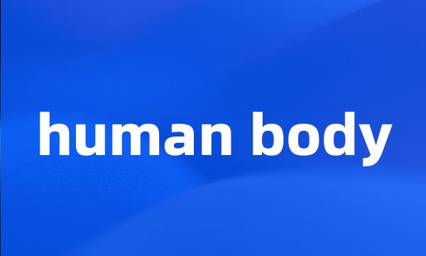 human body