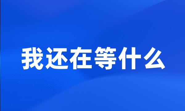 我还在等什么