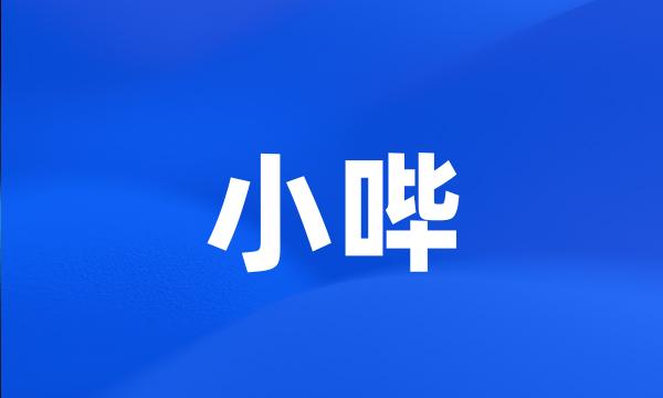 小哔