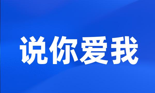 说你爱我