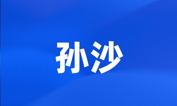 孙沙