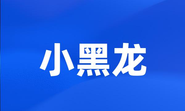 小黑龙