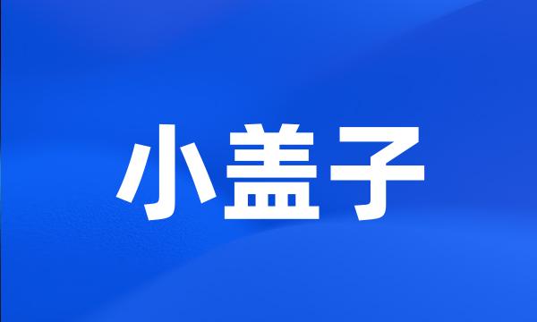 小盖子