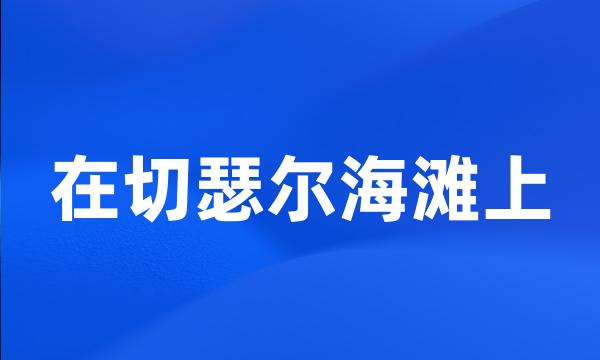 在切瑟尔海滩上