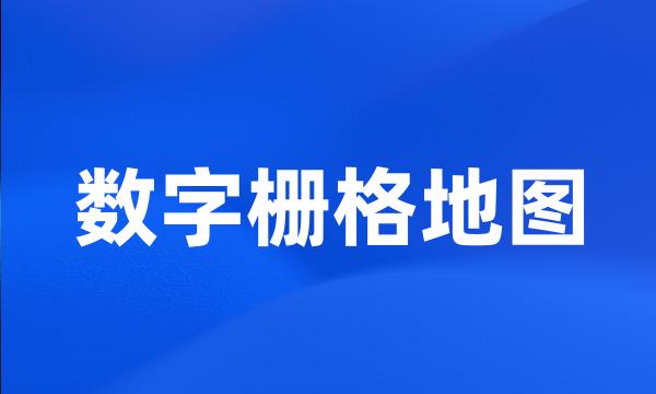 数字栅格地图