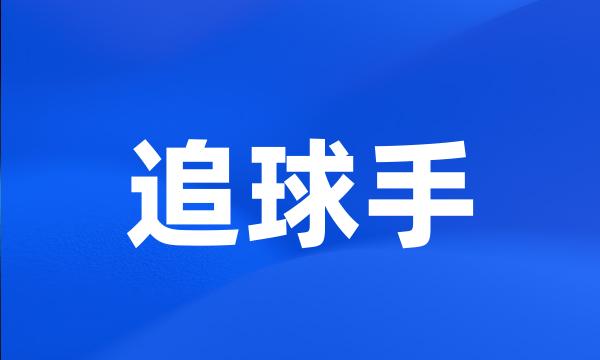 追球手