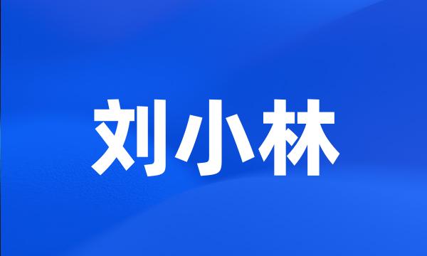 刘小林