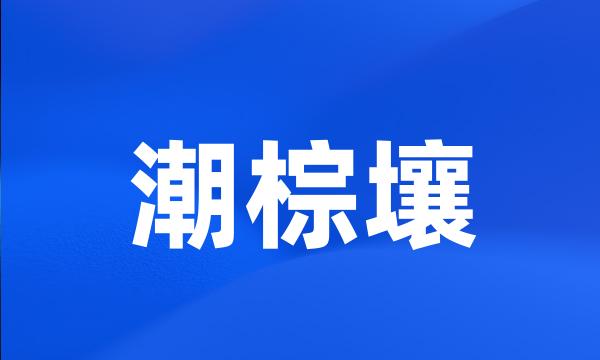 潮棕壤