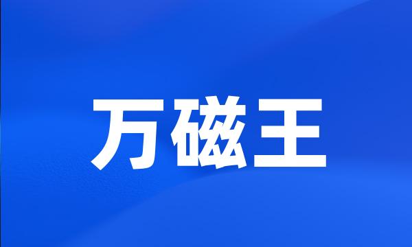 万磁王