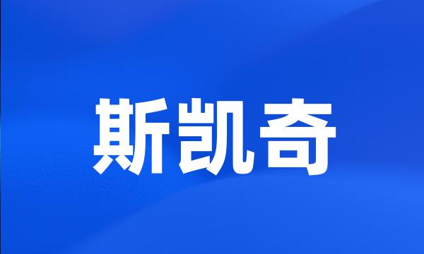 斯凯奇