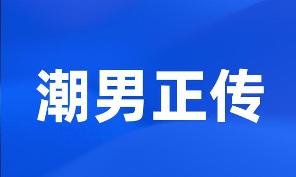 潮男正传