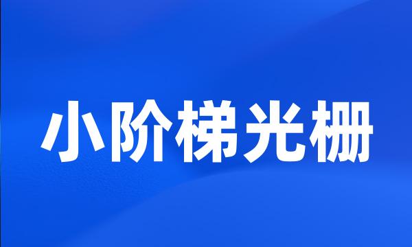 小阶梯光栅