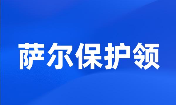 萨尔保护领