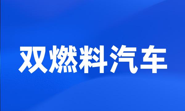 双燃料汽车