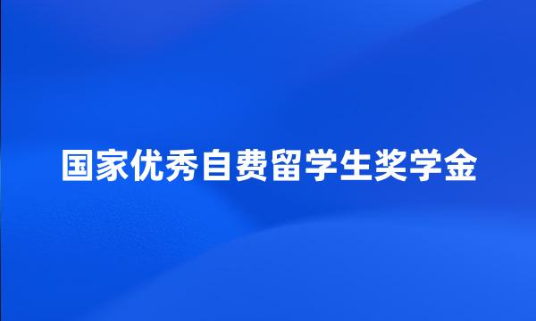 国家优秀自费留学生奖学金