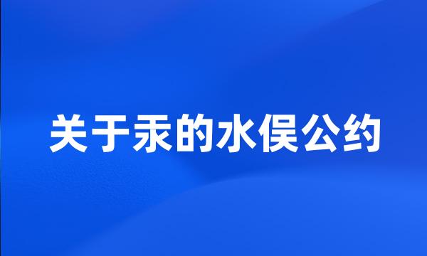 关于汞的水俣公约