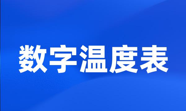 数字温度表