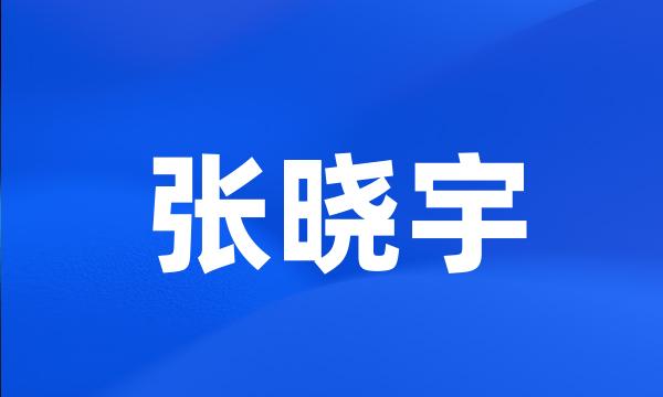 张晓宇