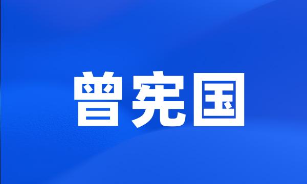 曾宪国