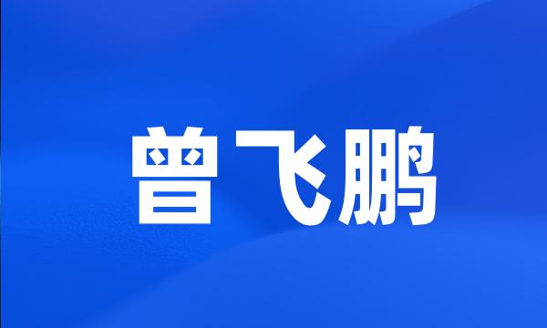 曾飞鹏