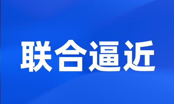 联合逼近