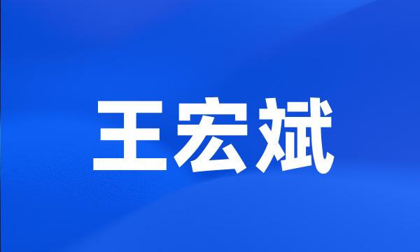 王宏斌