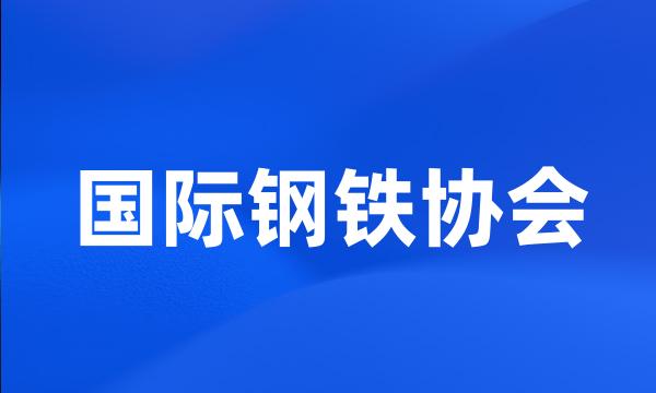 国际钢铁协会