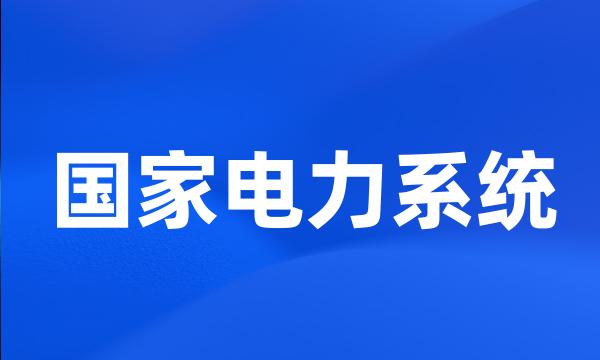 国家电力系统