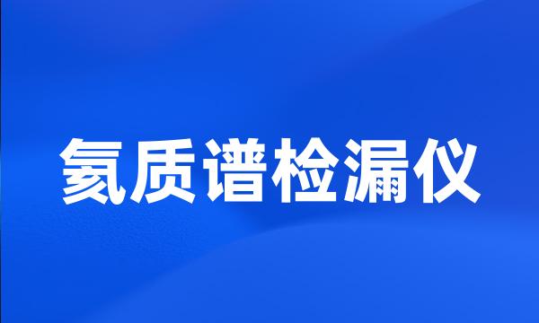 氦质谱检漏仪