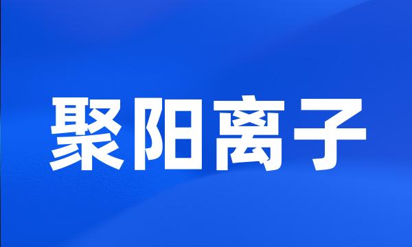 聚阳离子