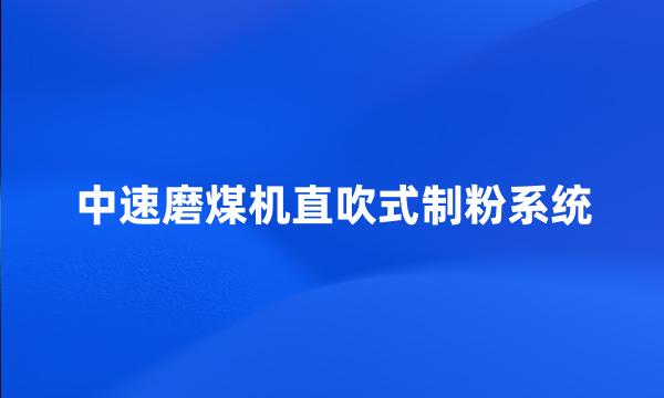 中速磨煤机直吹式制粉系统