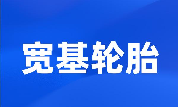 宽基轮胎