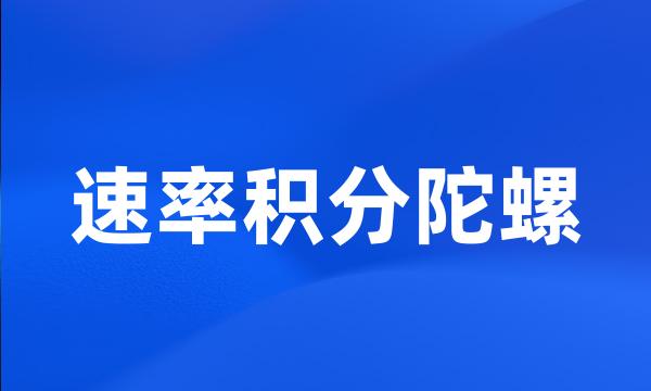 速率积分陀螺