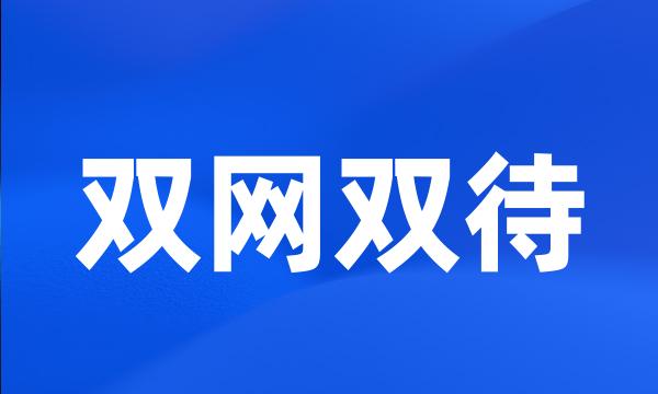 双网双待