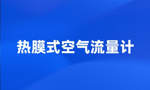 热膜式空气流量计