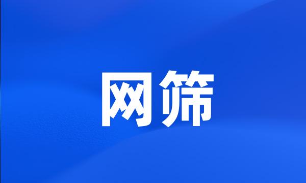 网筛