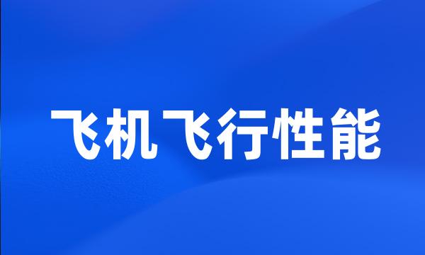 飞机飞行性能