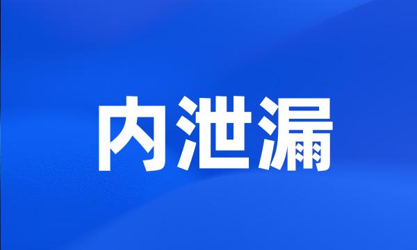 内泄漏