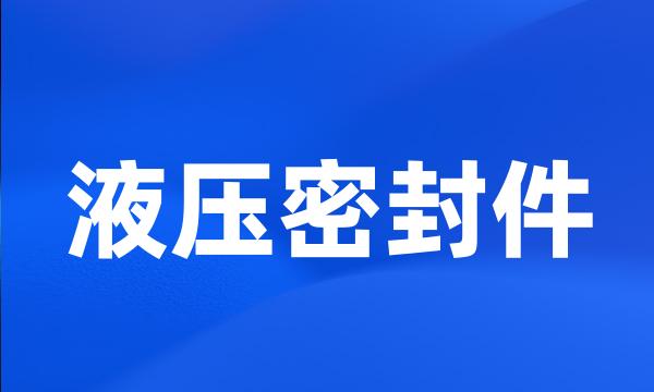 液压密封件