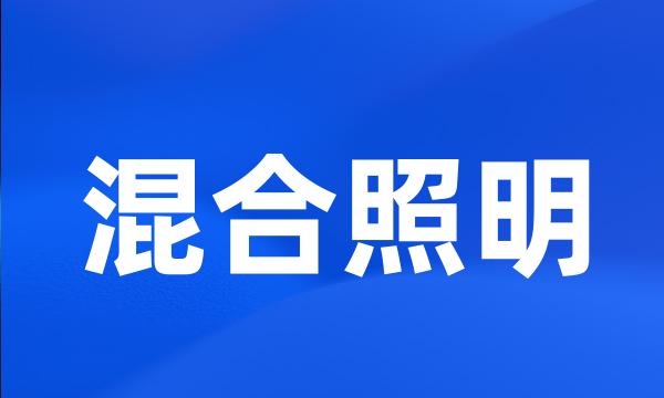 混合照明