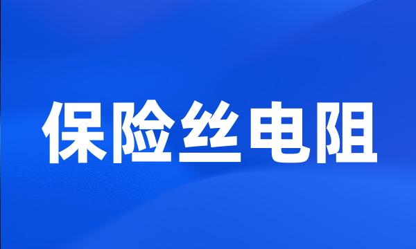 保险丝电阻