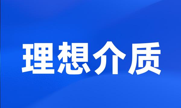 理想介质