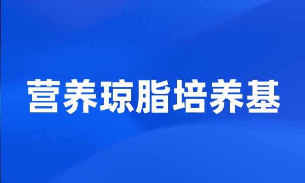 营养琼脂培养基