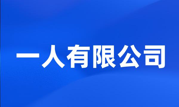 一人有限公司