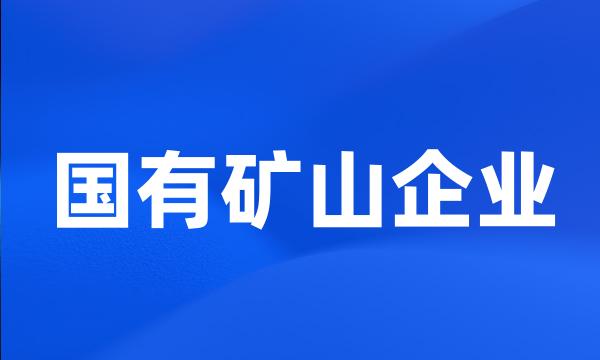 国有矿山企业